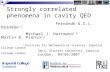 Strongly correlated phenomena in cavity QED