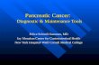 Pancreatic Cancer:   Diagnostic & Maintenance Tools