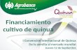 Financiamiento cultivo de quinua