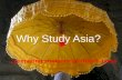 Why Study Asia?