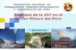 FEDERACION  NACIONAL  DE TRABAJADORES  MINEROS METALURGICOS  Y  SIDERURGICOS DEL PERU