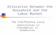 Allocation Between the Household and the Labor Market