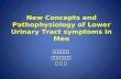New Concepts and Pathophysiology of Lower Urinary Tract symptoms in Men