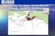 Surveying the Past: North Pacific  Pelagic Seabird Database Gary S. Drew and John F. Piatt