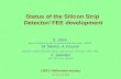 Status of the Silicon Strip  Detector/  FEE  development
