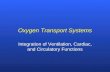 Oxygen Transport Systems