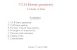 TJ-II Eirene geometry J. Guasp, A.Salas