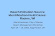 Beach Pollution Source Identification Field Cases: Racine, WI