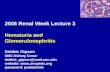 2006 Renal Week Lecture 3 Hematuria and Glomerulonephritis Debbie Gipson UNC Kidney Cener