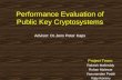 Performance Evaluation of Public Key Cryptosystems Advisor: Dr.Jens Peter Kaps