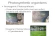 Photosynthetic organisms