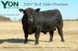 2007 Bull Sale Preview