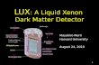 LUX : A Liquid Xenon  Dark Matter Detector