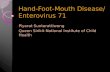 Hand-Foot-Mouth Disease/ Enterovirus 71