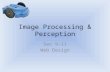 Image Processing & Perception