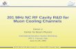 201 MHz NC RF Cavity R&D for Muon Cooling Channels