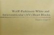 Wolff-Parkinson-White and  Atrioventricular (AV) Heart Blocks