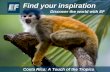 Find your inspiration Discover the world with EF