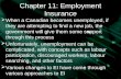 Chapter 11: Employment Insurance
