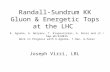 Randall-Sundrum KK Gluon & Energetic Tops at the LHC