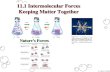 11.1 Intermolecular Forces Keeping Matter Together