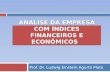 Analise da empresa com índices financeiros e econômicos