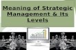 Meaning of Strategic Management & Its Levels