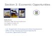 Section 3: Economic Opportunities
