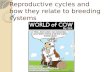 Reproductive cycles and how they relate to breeding systems