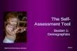 The Self-Assessment Tool