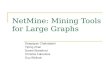 NetMine: Mining Tools for Large Graphs