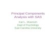 Principal Components Analysis with SAS