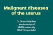 Malignant diseases of the uterus