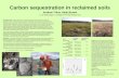 Carbon sequestration in reclaimed soils
