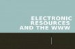 Electronic Resources  and the WWW