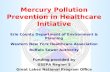 Mercury Pollution Prevention in Healthcare Initiative