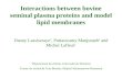 Interactions between bovine seminal plasma proteins and model lipid membranes
