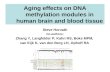 Aging effects on DNA methylation modules in human brain and blood tissue