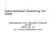 International Roaming for GSM