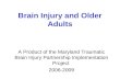 Brain Injury and Older Adults