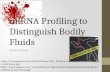 miRNA Profiling to Distinguish Bodily Fluids