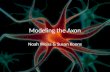 Modeling the Axon