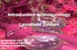 Introduction to Immunology & Lymphoid System