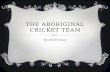 The aboriginal cricket team