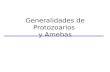 Generalidades de Protozoarios  y Amebas
