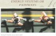 ENERGY SYSTEMS OR PATHWAYS