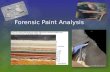 Forensic Paint Analysis
