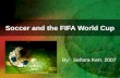 Soccer and the FIFA World Cup