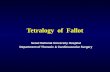 Tetralogy  of  Fallot