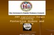 2009 Legislative Changes Concerning Protective Orders and Firearms Effective October 1, 2009
